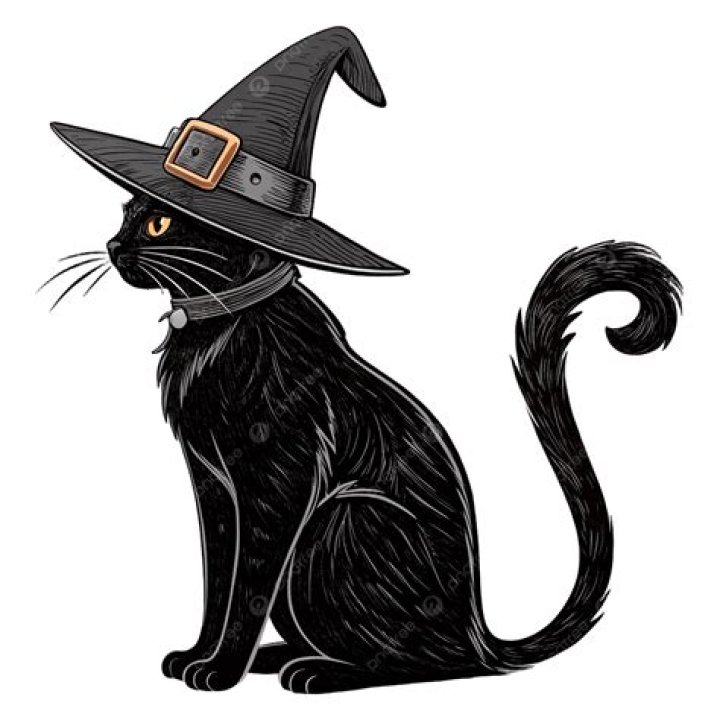 Spooky Black